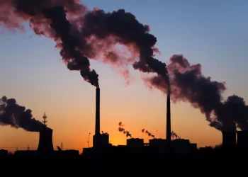 14 de agosto. Dia de Combate à Poluição.